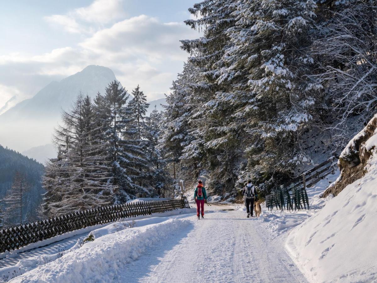 エープス Alpengasthof Veitenhofヴィラ エクステリア 写真
